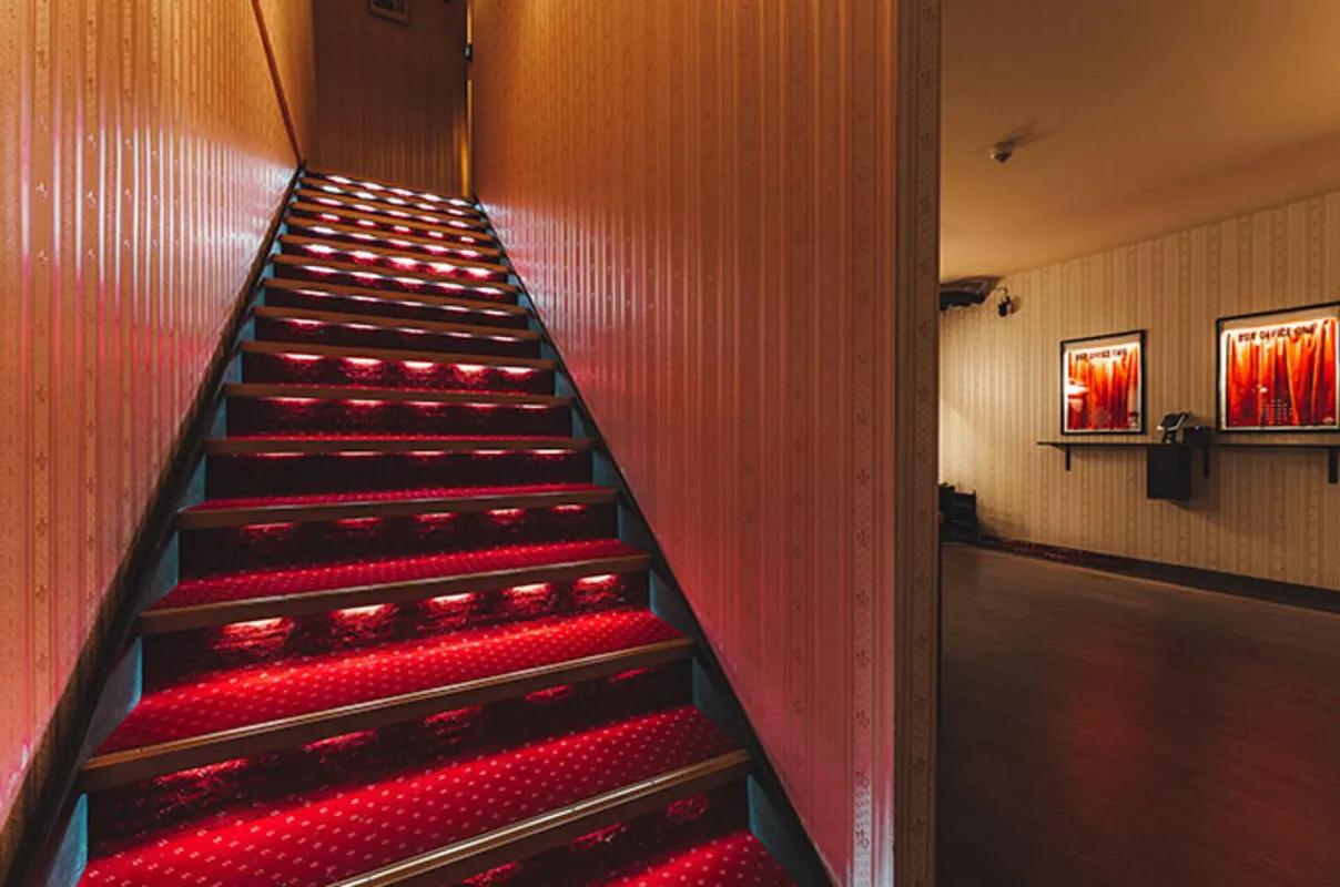 The Cinema