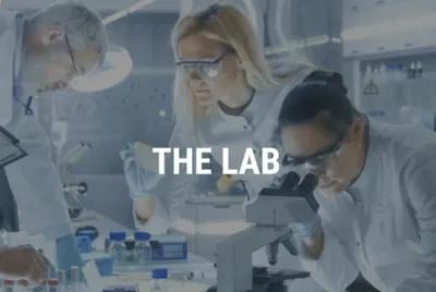 The Lab poster1