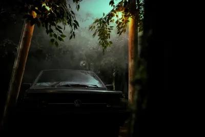The Dark Forest poster1