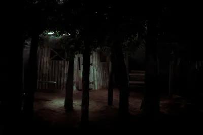 The Dark Forest poster2