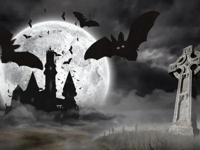 Draculas Schloss 2.0 poster1