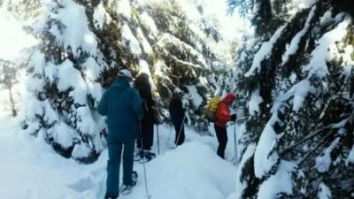 Schneeschuhtouren und Skilanglauf-Kurse - pures Natur-Abenteuer poster1