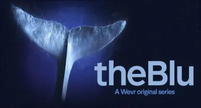 The Blu poster1