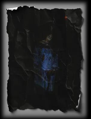 HAUNTED HOUSE POLTERGEIST poster2