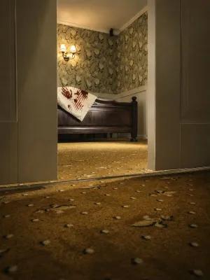 Dolphin Hotel poster2