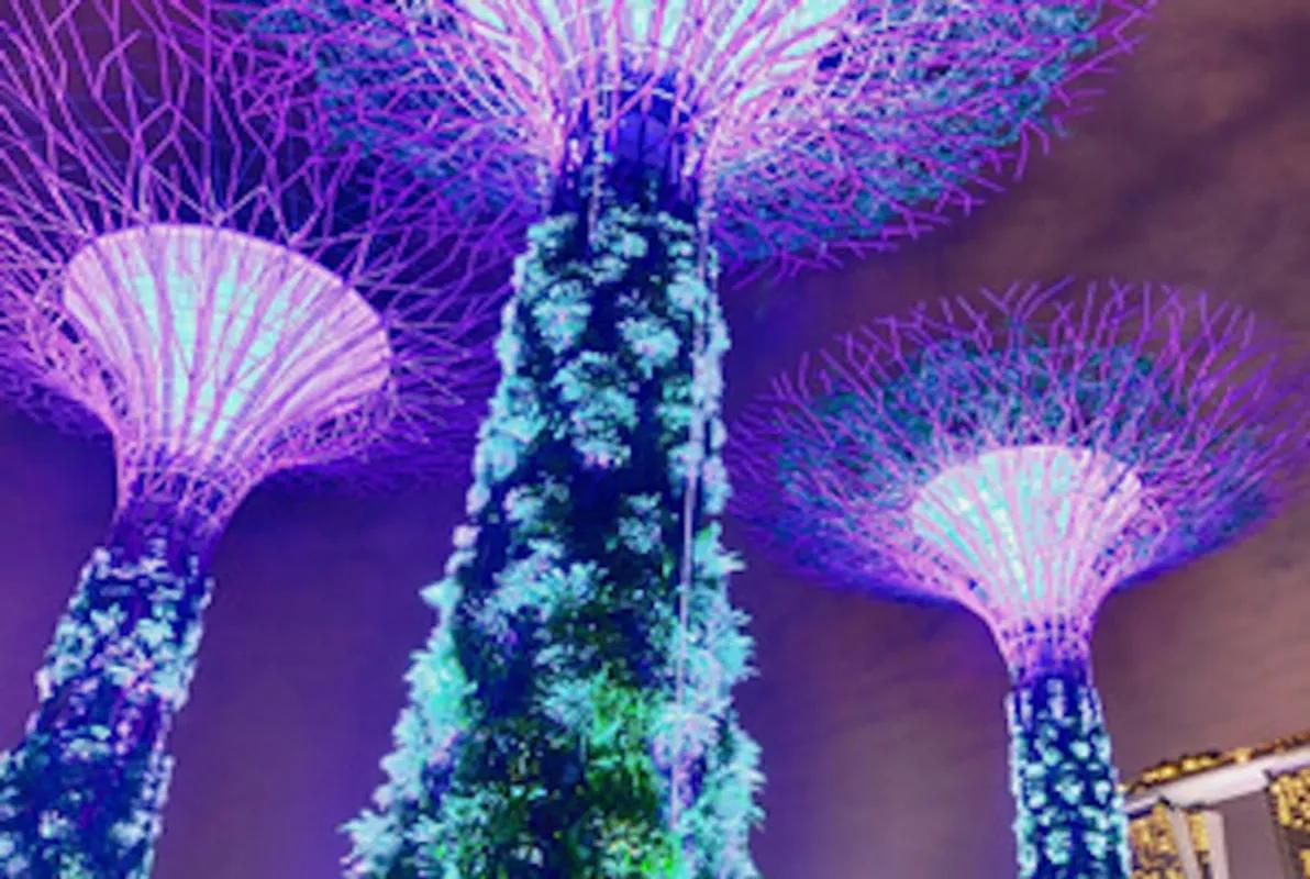Secret Society Singapore Online