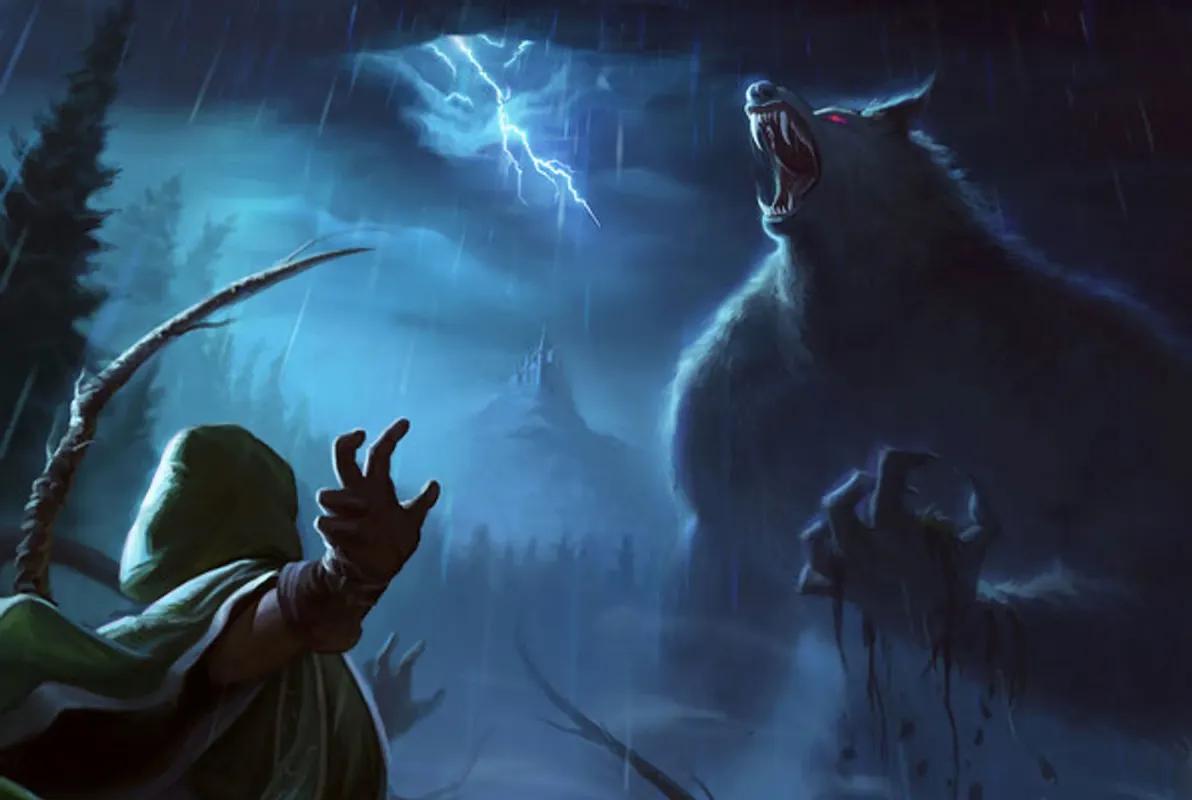 The Forest of No Return