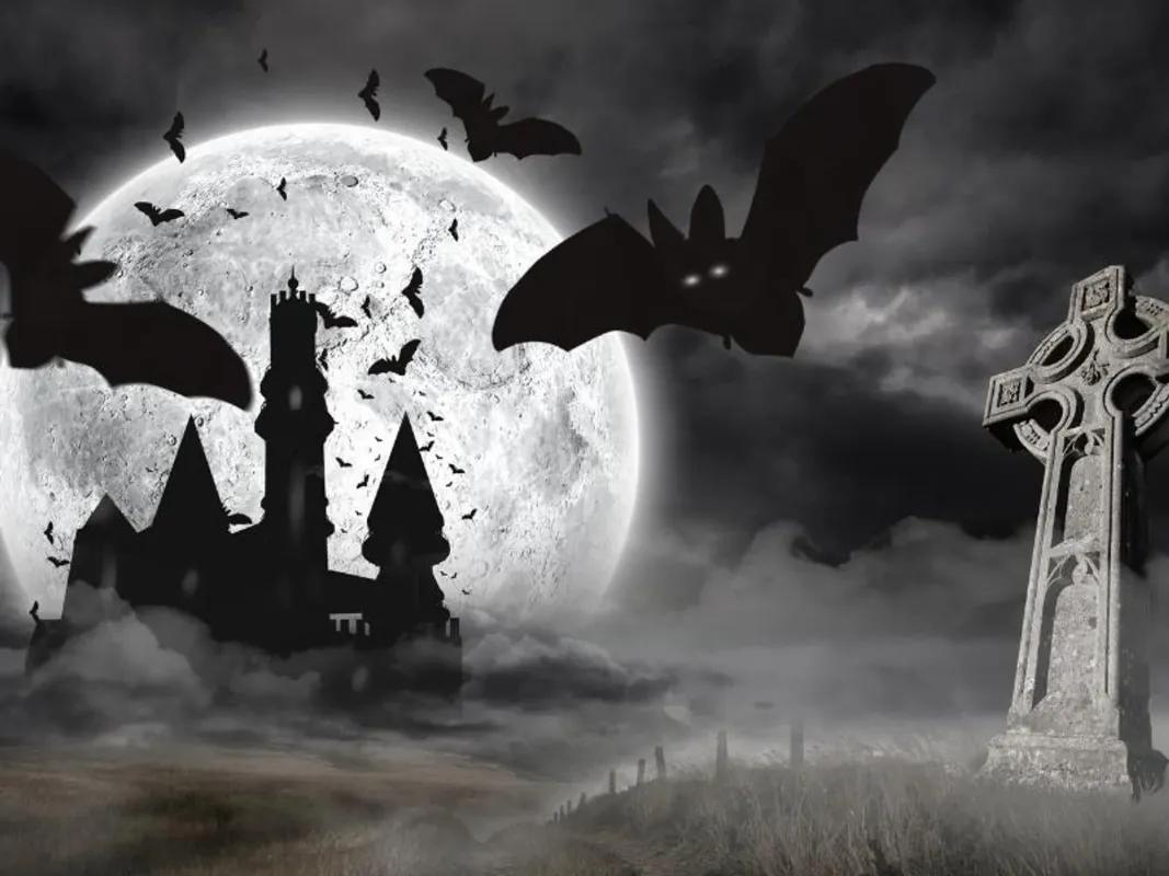 Draculas Schloss 2.0