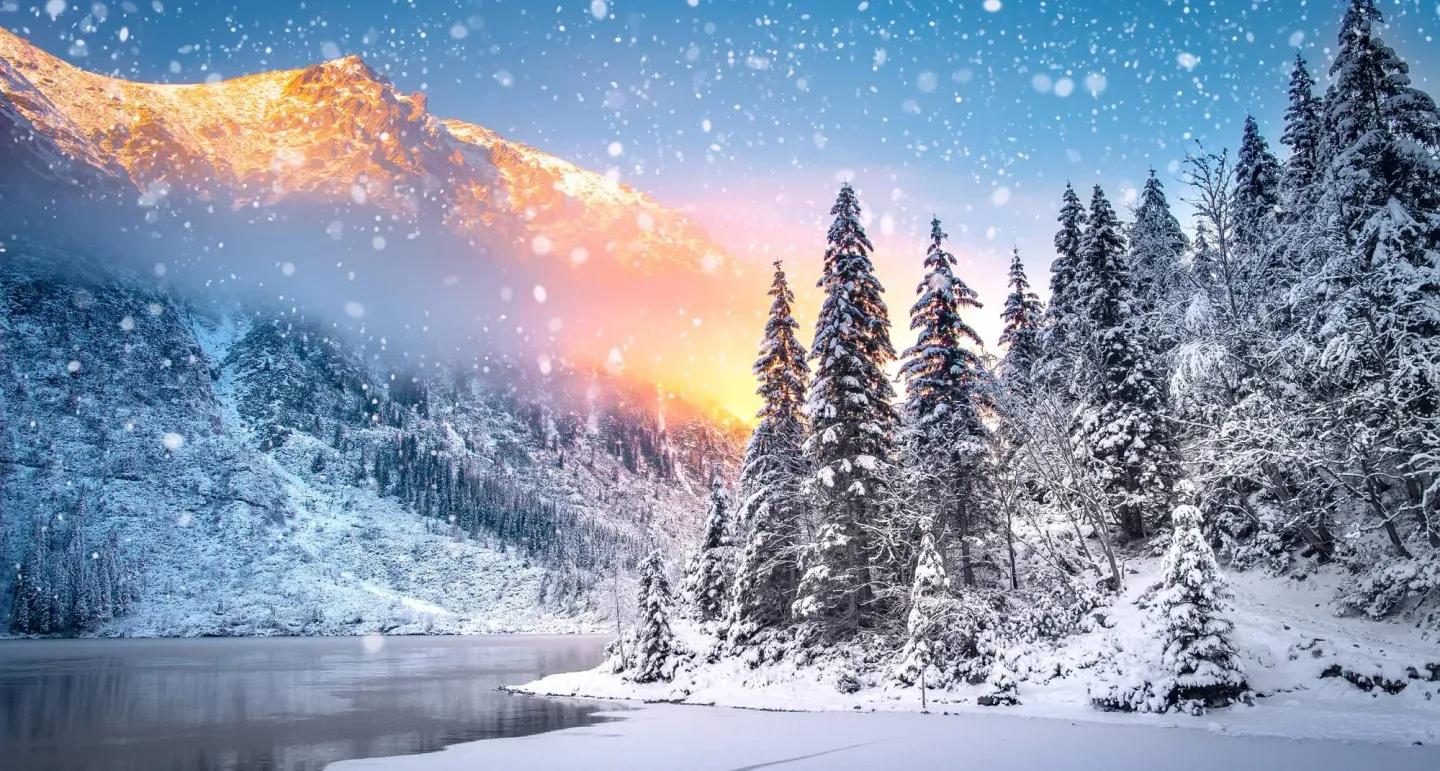 EIN WEIHNACHTSFALL