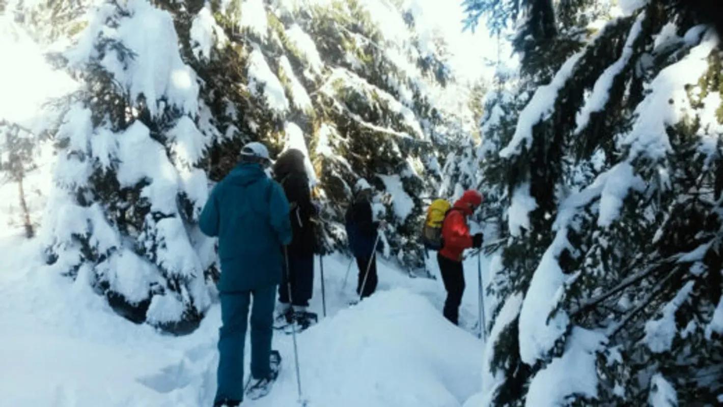 Schneeschuhtouren und Skilanglauf-Kurse - pures Natur-Abenteuer