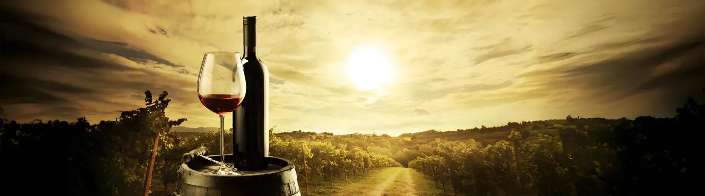 In Vino Veritas