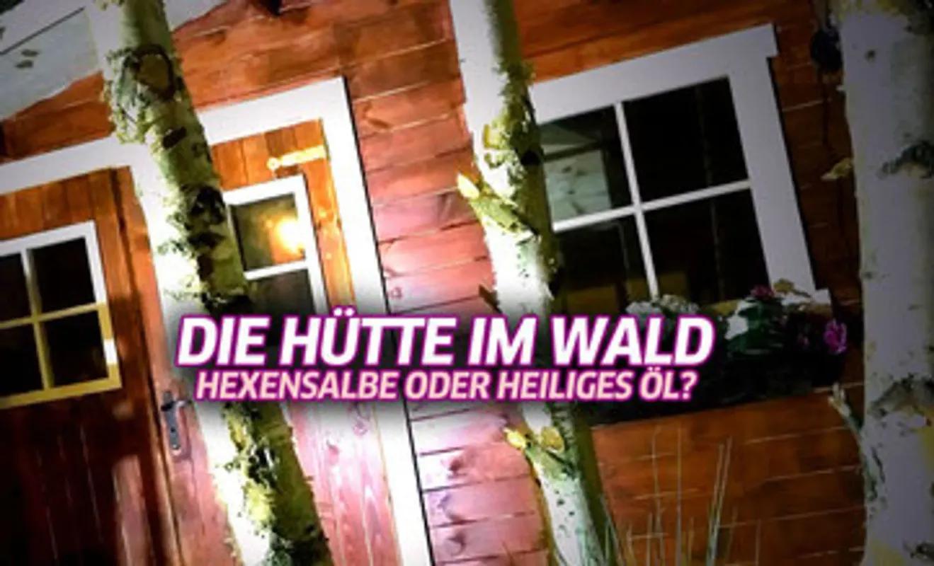 Die Hütte im Wald